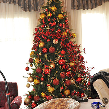 Φωτογραφίες  #113.JPG